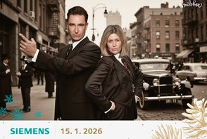 Siemens Winter party